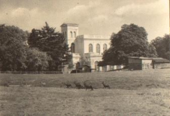 18581 Putbus Rügen Wildgehege o 9.7.1969