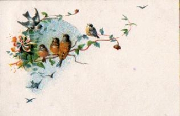 Songbirds artist card o 27.7.1913