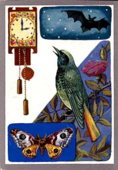 Nightingale with Bat Butterfly * ca. 1970