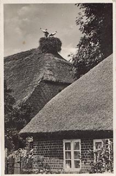 18586 Monchgut stork's nest o July 27, 1930