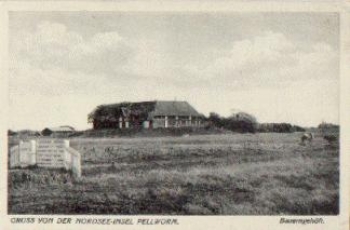 25849 Pellworm Nordsee-Insel Bauerngehöft o 30.8.1935
