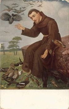 Owl Francis preaches to birds o February 18, 1915