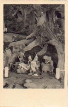 Owl dwarfs, frog, * around 1960