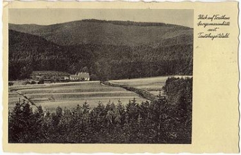 49124 Georgmarienhutte forester's house with Teutoburg Forest o 4.9.1934