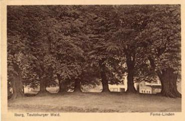 49186 Iburg Feme-Linden trees * approx. 1920