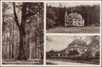 63739 Rohrbrunn 1000 year old oak * approx. 1950