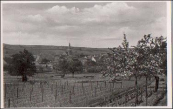 67169 Kallstadt * ca. 1950