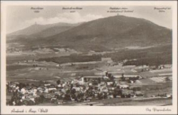 93471 Arnsbruck Luftaufnahme * ca. 1930