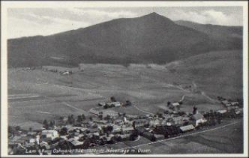 93462 Lam * ca. 1930