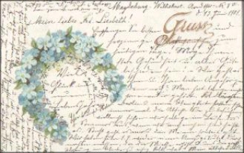Forget-me-not as a horseshoe o 13.6.1901
