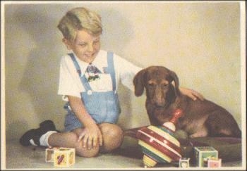 Dachshund humming top, child bred circa 1950