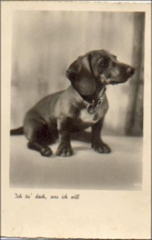 Dachshund series 2295, * approx. 1940