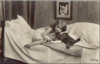 Dachshund 33242/4, o 11.12.1913