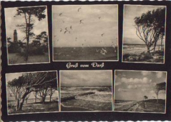 18311 Prerow at the Darss lighthouse o 31.8.1965