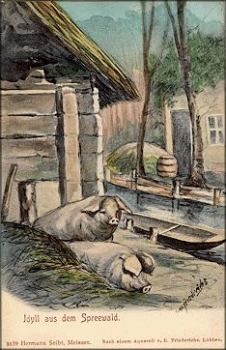 Pig artist card Friedrichs * ca. 1900