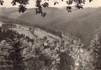 98746 Meuselbach-Schwarzmuehle * ca. 1970