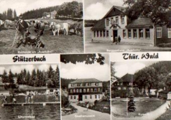 98714 Stutzerbach herd of cows o 21.7.1979