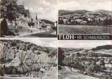 98593 Floh o 15.5.1965