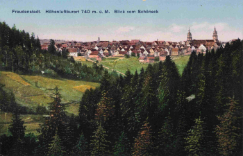 72250 Freudenstadt Schwarzwald vom Schöneck * um 1930