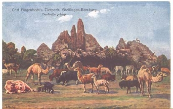 Stelling Hamburg Carl Hagenbeck's animal park hay eater enclosure * ca. 1920
