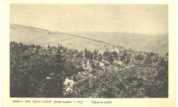 Elsaß die Schlucht, * ca.1920