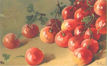 Cherries artist card Catharina Klein * approx. 1910