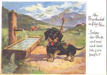 Beer dachshund on the mountain pasture, tanned. circa 1950