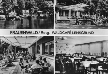 98711 Frauenwald Waldcafe Lenkgrund o 1978