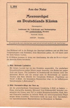 ASCOP Dresden Strahlbild Textblatt L304 "Meeresvögel an Deutschlands Küsten" 1979