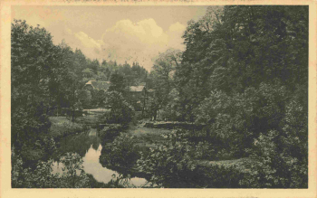 Alexisbad Harzgerode Bahnhof mit Hotel Försterling * um 1920
