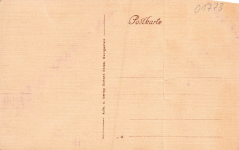 01773 Georgenfeld Altenberg Erzgebirge Hotel Lugsteinhof * um 1920