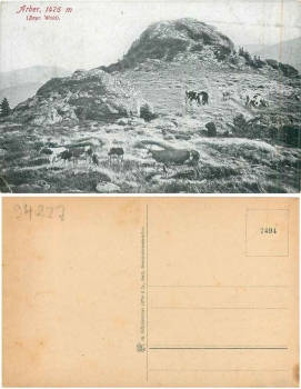 94227 Zwiesel Arber Bayricher Wald *ca. 1920