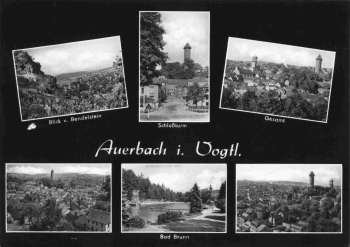 Auerbach Vogtland Mehrbildkarte o 1967