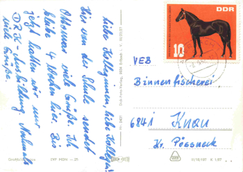 Auerbach Vogtland Mehrbildkarte o 1967