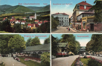 Bad Charlottenbrunn  Silesia Jedlina-Zdrój * around 1920
