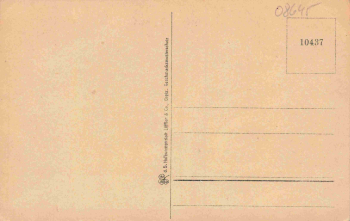 Bad Elster Vogtland von der Agnesruhe * um 1910