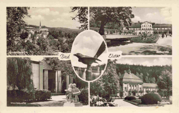 Bad Elster Vogtland multi-view postcard