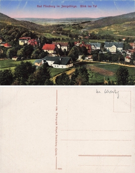 Bad Flinsberg Isergebirge Schlesien Blick ins Tal Swieradow-Zdroj * um 1920
