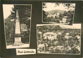 01816 Bad Gottleuba Multi-image card Postmile column *1964