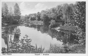 Bad Polzin Kurpark Pommern Połczyn-Zdrój * um 1920