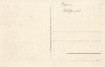 Bad Polzin Kurpark Pommern Połczyn-Zdrój * um 1920