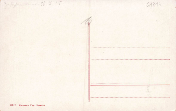 01814 Bad Schandau Markt mit Hotel Anker * um 1910