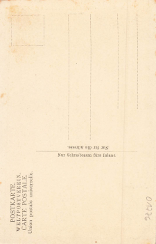 01773 Baerenfels Erzgebirge Hotel und Pension Kaiserhof * um 1905