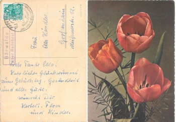 01445 Bärwalde über Radebeul Landpoststempel o 16.3.1960 auf Tulpenkarte