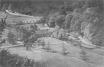 06493 Ballenstedt Harz Hotel "Burg Anhalt" Selkemühle o um 1920