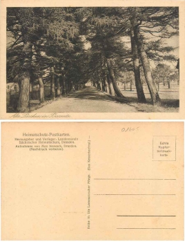 01665 Barnitz Laerchenstrasse  *ca.1930
