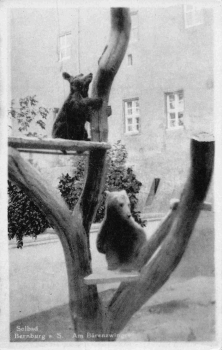 Bernburg Saale Bärenzwinger o 1951