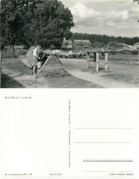 17248 Boek Mueritz Dorfstrasse Herd of sheep *1962 Hanich0514