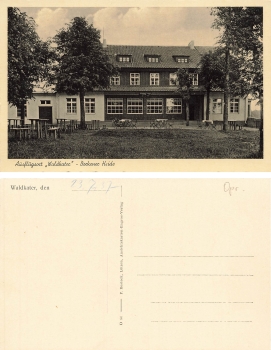 Borkener Heide Waldkater Ostpreussen Puszcza Borecka * 1937