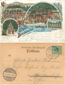 39218 Schoenebeck Buschhaus  Litho o 20.3.1899